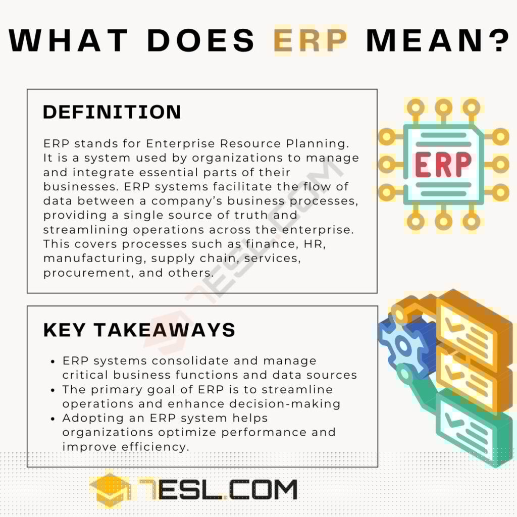 Erp Professional Services